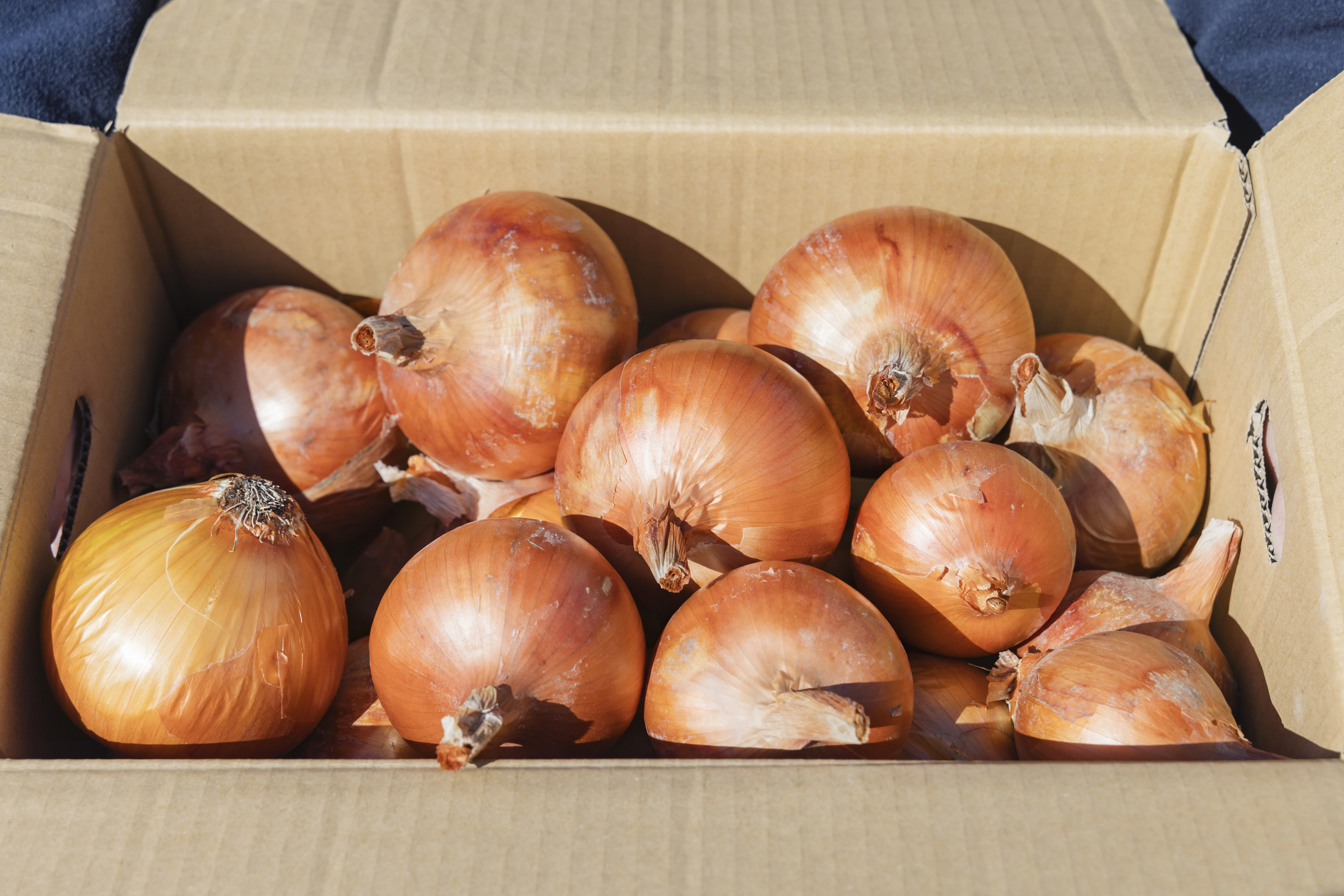 食べチョク通販で野菜の販売を開始しました！